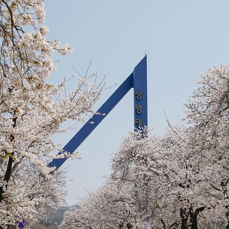 천안캠퍼스, 벚꽃과 함께하는 낭만 축제 “화양연화” 개최