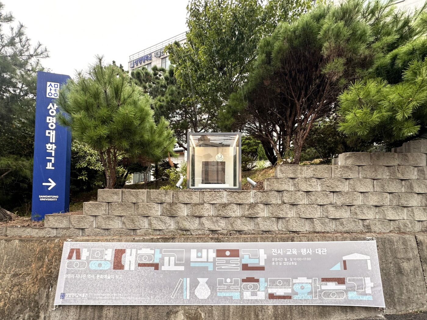 비젼